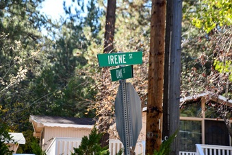 Irene Stret & Oak Street (Tree Lined)