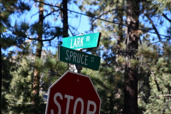 LarK Rd & Spruce Street