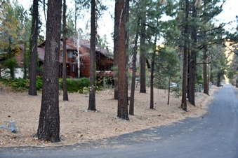 Enlarge photo 3