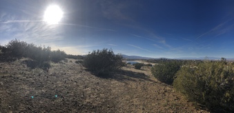 Enlarge photo 23