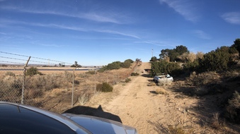 Enlarge photo 37