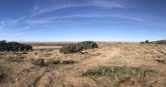 Enlarge photo 43