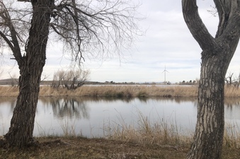 Enlarge photo 3