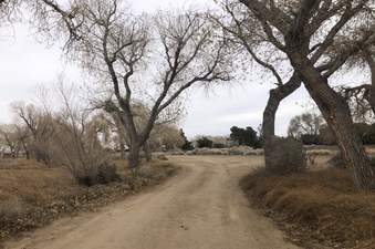 Enlarge photo 4