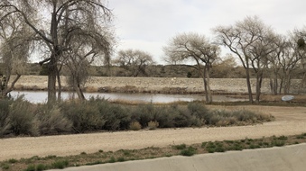 Enlarge photo 15