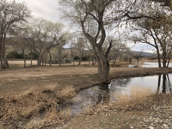 Enlarge photo 28