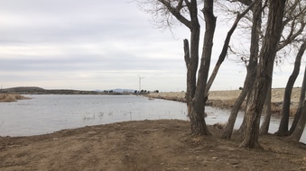 Enlarge photo 31