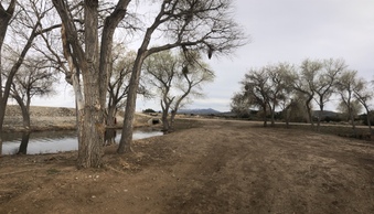 Enlarge photo 32