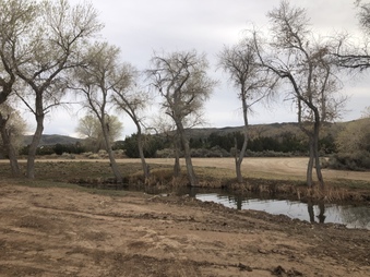 Enlarge photo 33