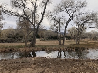 Enlarge photo 34
