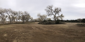 Enlarge photo 39