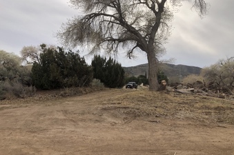 Enlarge photo 41