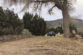 Enlarge photo 42