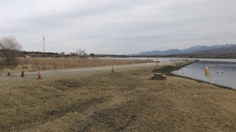 Enlarge photo 104