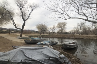Enlarge photo 115