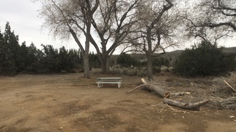 Enlarge photo 120
