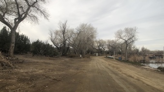 Enlarge photo 122