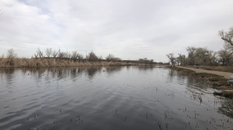 Enlarge photo 129