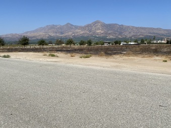 Enlarge photo 7