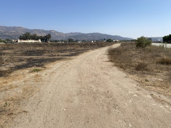 Enlarge photo 12