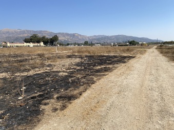 Enlarge photo 14