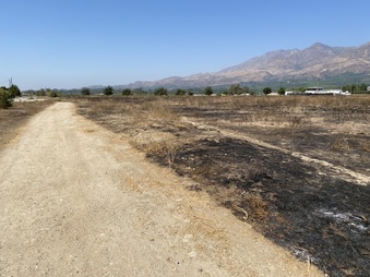 Enlarge photo 16