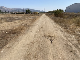 Enlarge photo 23