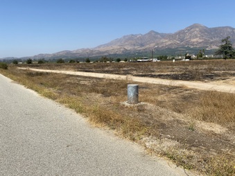 Enlarge photo 38