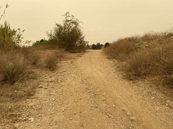 Enlarge photo 17