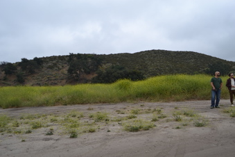 Enlarge photo 6