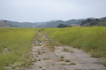 Enlarge photo 7