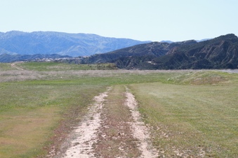 Enlarge photo 30