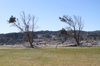 Enlarge photo 11