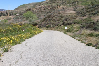 Canyon Crosswinds