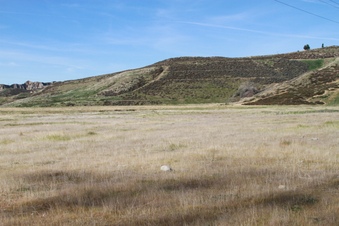 Enlarge photo 48