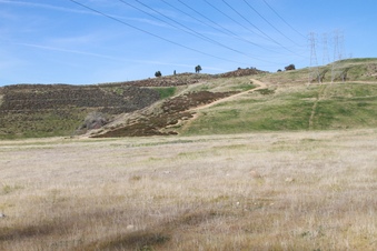 Enlarge photo 49