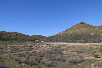 Langside Ranch