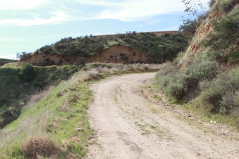 Enlarge photo 42
