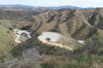 Enlarge photo 43