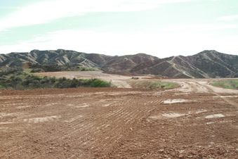 Enlarge photo 45