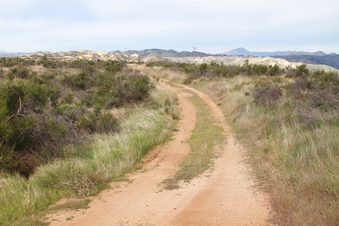 Enlarge photo 52