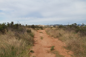 Enlarge photo 53