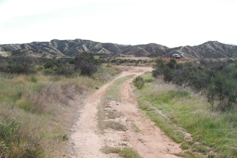 Enlarge photo 54