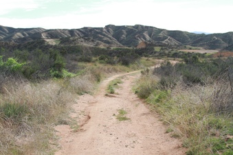 Enlarge photo 56