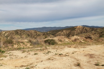 Enlarge photo 36