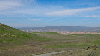 Enlarge photo 33