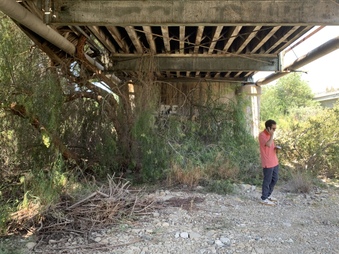 Enlarge photo 10