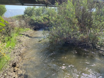 Enlarge photo 29