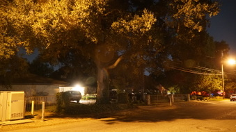 Enlarge photo 7