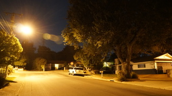 Enlarge photo 19